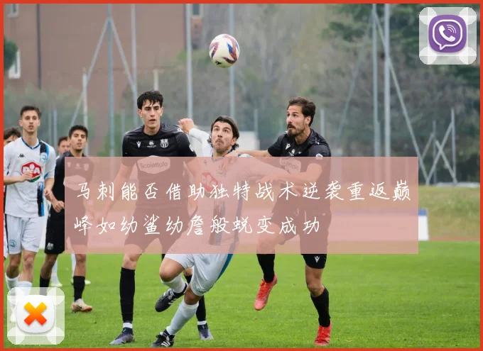 马刺能否借助独特战术逆袭重返巅峰如幼鲨幼詹般蜕变成功