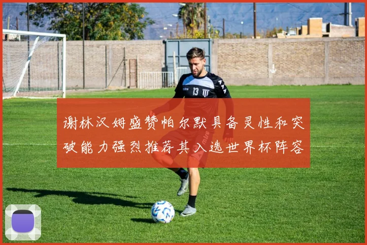 谢林汉姆盛赞帕尔默具备灵性和突破能力强烈推荐其入选世界杯阵容